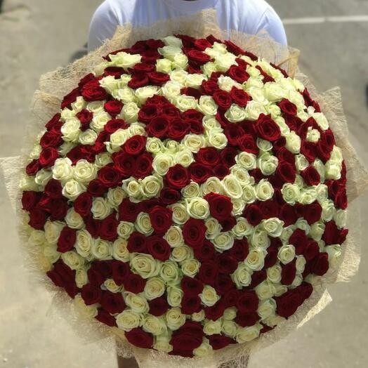 Букет цветов "201 красно-белая роза"